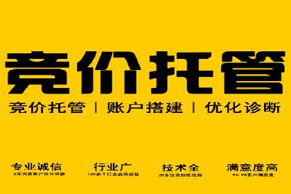 揭秘网络推广竞价的成功要素：以某企业为例